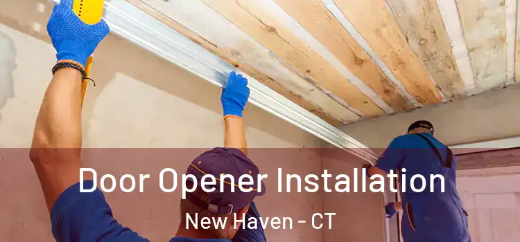  Door Opener Installation New Haven - CT