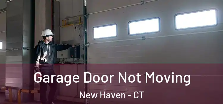  Garage Door Not Moving New Haven - CT