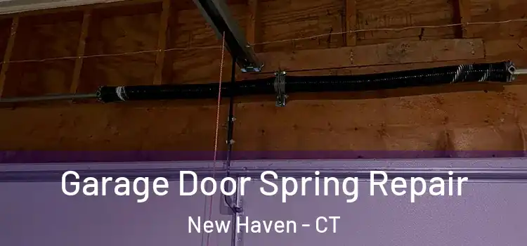  Garage Door Spring Repair New Haven - CT
